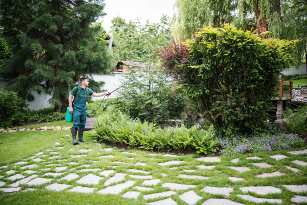 Wasp Removal Services in Lely Resort, FL